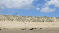 1472 Ausflug zum Cap Reinga -  am 90 Miles Beach -
