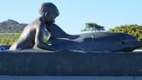 1491 Fahrt nach Auckland -  Oponuoi - Delfin-Denkmal