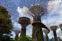 Singapur - Gardens by the Bay
