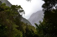 Blick zum Fox Glacier