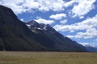 Fahrt von Te Anau zum Milford Sound