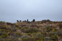 Wanderung in Mordor / zu den Silica Rapids