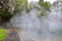 Rotorua - Heiße Quellen