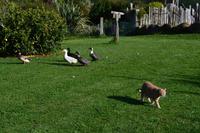 Übernachtung bei einer Gastfamilie auf einer Farm