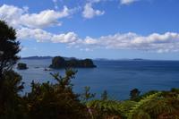 Coromandel-Halbinsel - Wanderung zur Cathedral Cove