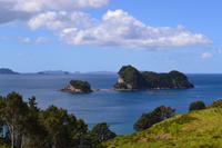 Coromandel-Halbinsel - Wanderung zur Cathedral Cove