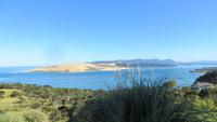 1498 Fahrt nach Auckland -  Oponuoi