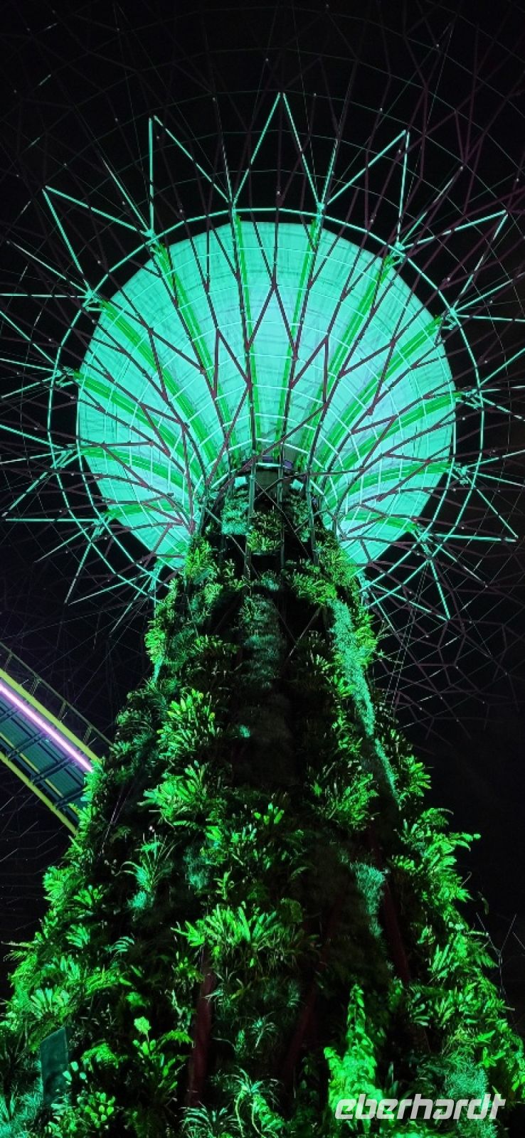 15 Iluminated trees