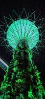 15 Iluminated trees