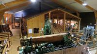 1530 Fahrt nach Auckland - Besuch Kauri-Museum