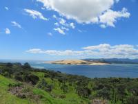 Auf dem Weg nach Paihia