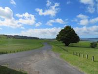 Auf dem Weg nach Paihia