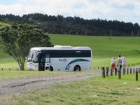 Auf dem Weg nach Paihia