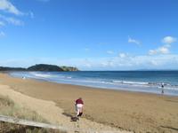 Auf dem Weg nach Cape Reinga