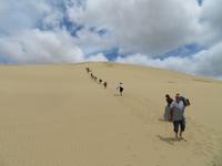 Der Ninety Mile Beach - Auf dem Weg nach Cape Reinga