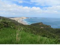 Cape Reinga