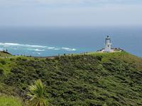 Cape Reinga