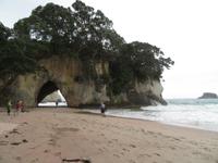 Cathedral Cove an der Coromandel Peninsula der Nordinsel Neuseelands