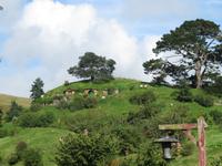 Hobbiton - Matamata - Neuseeland