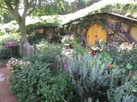 Hobbiton - Matamata - Neuseeland