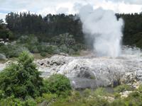 Rotorua