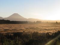 Tongariro-Nationalpark - National Park - Neuseeland