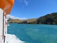 Fähre von Wellington (Nordinsel) nach Picton (Südinsel) - Neuseeland