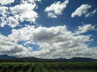 Wolken - Südinsel Neuseeland