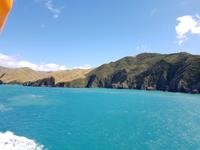 Fähre von Wellington (Nordinsel) nach Picton (Südinsel) - Neuseeland