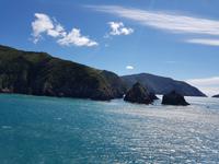 Fähre von Wellington (Nordinsel) nach Picton (Südinsel) - Neuseeland