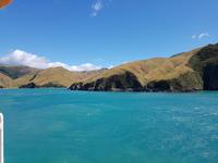 Fähre von Wellington (Nordinsel) nach Picton (Südinsel) - Neuseeland