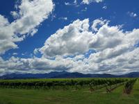 Wolken - Südinsel Neuseeland