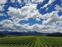 Wolken - Südinsel Neuseeland