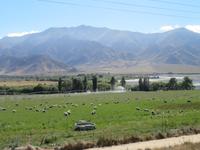 Auf dem Weg zum Moeraki Boulders, Südinsel Neuseeland