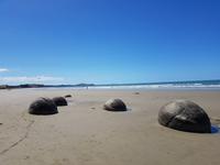 Moeraki Boulders, Südinsel Neuseeland