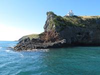 Otago Halbinsel bei Dunedin - Südinsel Neuseeland