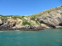 Otago Halbinsel bei Dunedin - Südinsel Neuseeland