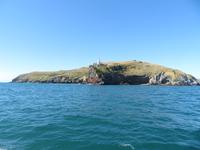 Otago Halbinsel bei Dunedin - Südinsel Neuseeland
