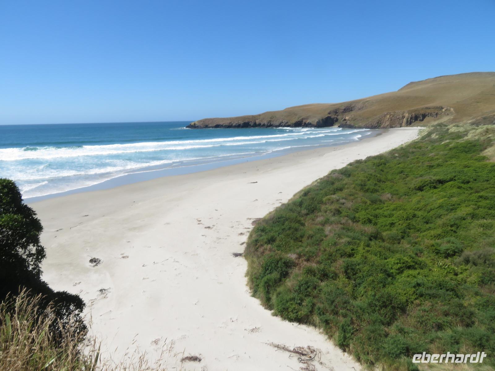 Otago Halbinsel bei Dunedin - Südinsel Neuseeland