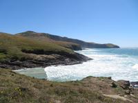 Otago Halbinsel bei Dunedin - Südinsel Neuseeland