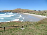 Otago Halbinsel bei Dunedin - Südinsel Neuseeland