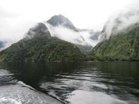 Doubtful Sound, Südinsel Neuseeland