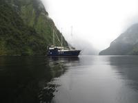 Doubtful Sound, Südinsel Neuseeland