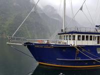 Doubtful Sound, Südinsel Neuseeland