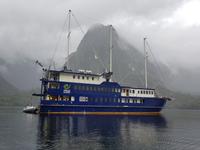 Doubtful Sound, Südinsel Neuseeland