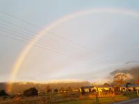 Bei Franz Josef Gletscher