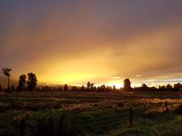 Bei Franz Josef Gletscher