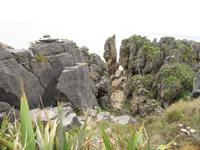 Pancakes Rocks - Pfannkuchen-Felsen, Südinsel Neuseeland