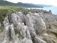 Pancakes Rocks - Pfannkuchen-Felsen, Südinsel Neuseeland