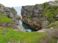 Pancakes Rocks - Pfannkuchen-Felsen, Südinsel Neuseeland